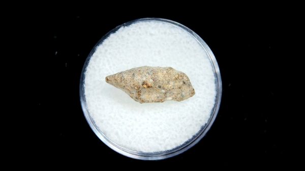 Lunar Meteorite NWA13974 Meteorites for Sale - Image 3