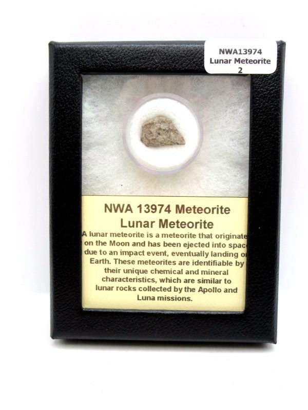 Lunar Meteorite NWA13974 Meteorites for Sale