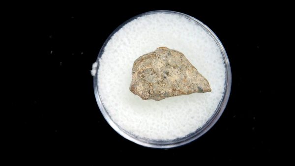 Lunar Meteorite NWA13974 Meteorites for Sale - Image 2