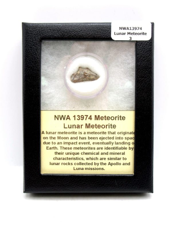 Lunar Meteorite NWA13974 Meteorites for Sale