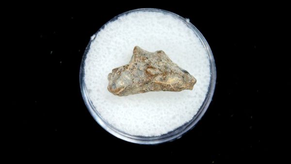 Lunar Meteorite NWA13974 Meteorites for Sale - Image 2