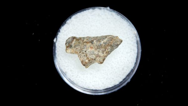Lunar Meteorite NWA13974 Meteorites for Sale - Image 3