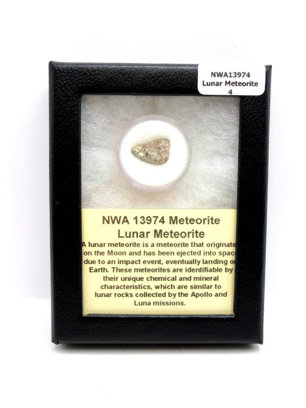 Lunar Meteorite NWA13974 Meteorites for Sale