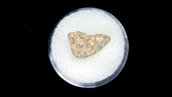 Lunar Meteorite NWA13974 Meteorites for Sale - Image 2