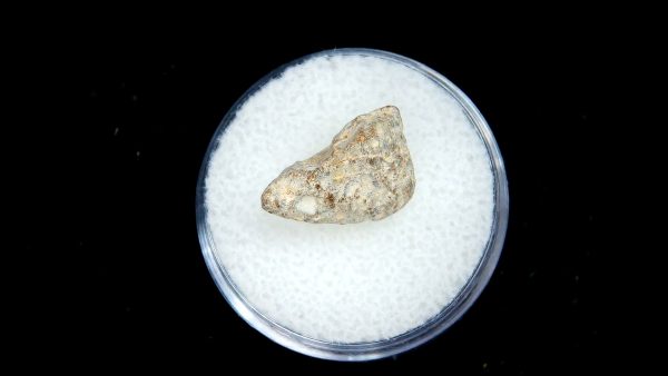 Lunar Meteorite NWA13974 Meteorites for Sale - Image 3