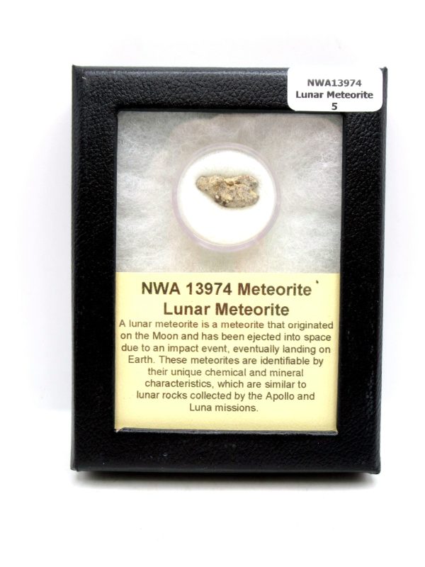 Lunar Meteorite NWA13974 Meteorites for Sale