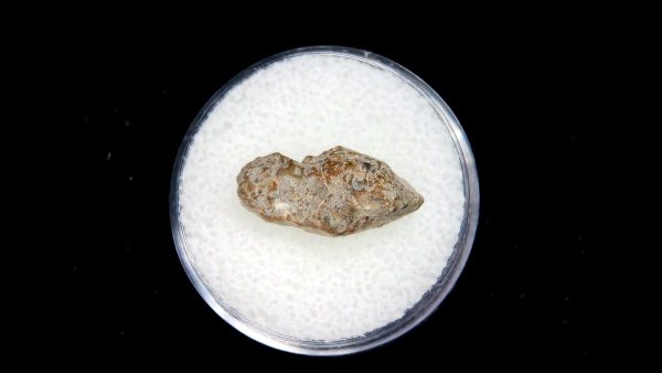 Lunar Meteorite NWA13974 Meteorites for Sale - Image 2