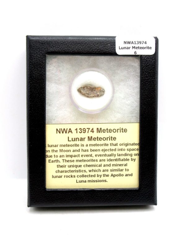 Lunar Meteorite NWA13974 Meteorites for Sale