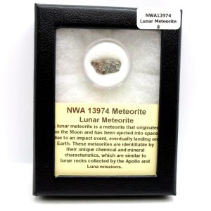 Lunar Meteorite NWA13974 | #8