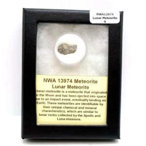 Lunar Meteorite NWA13974 | #9