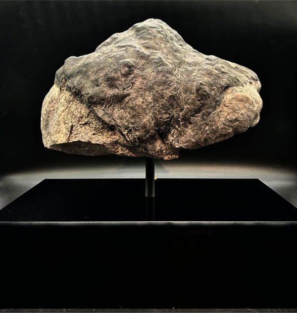 General Cretaceous Age Ornithopod Dinosaur Track Fossil From Utah For Sale #1 fossil foot print 2