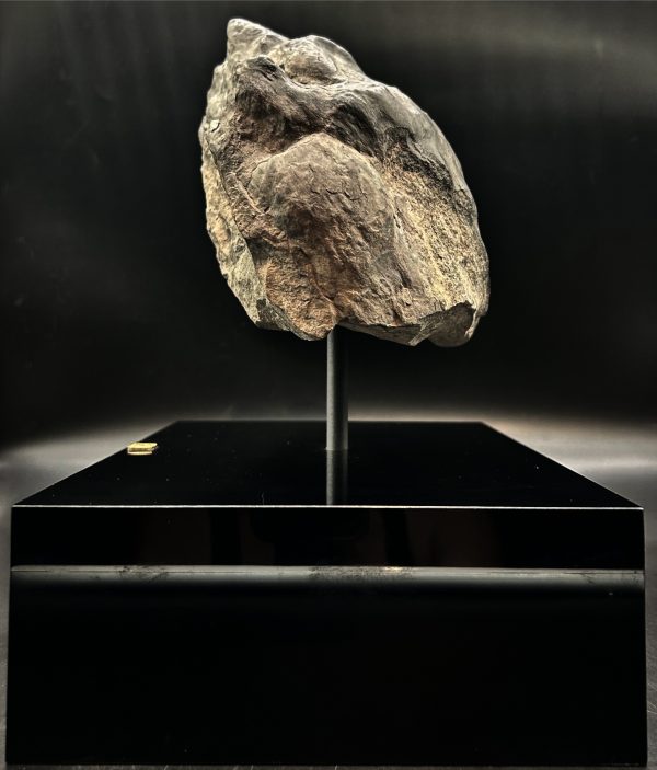 General Cretaceous Age Ornithopod Dinosaur Track Fossil From Utah For Sale #1 fossil foot print 4