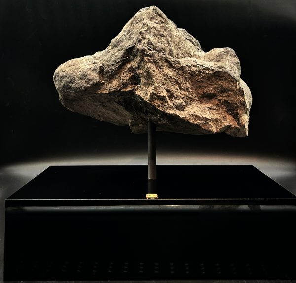 General Cretaceous Age Ornithopod Dinosaur Track Fossil From Utah For Sale #1 fossil foot print 6