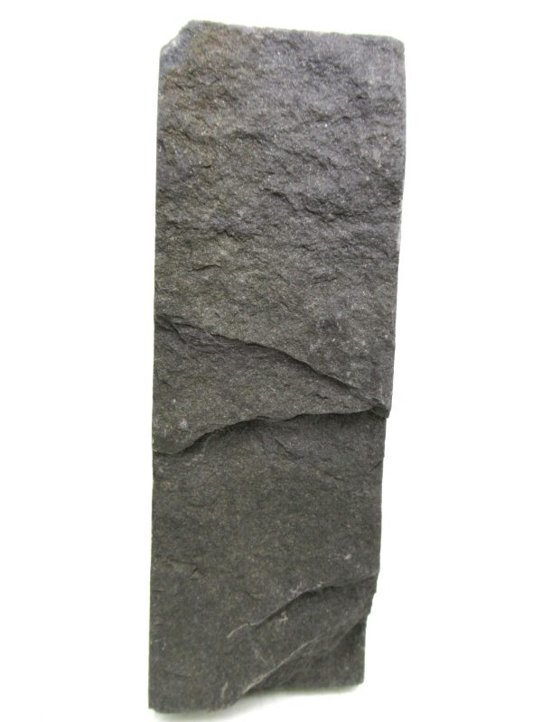 Carboniferous Fern from Germany #14 - Image 2