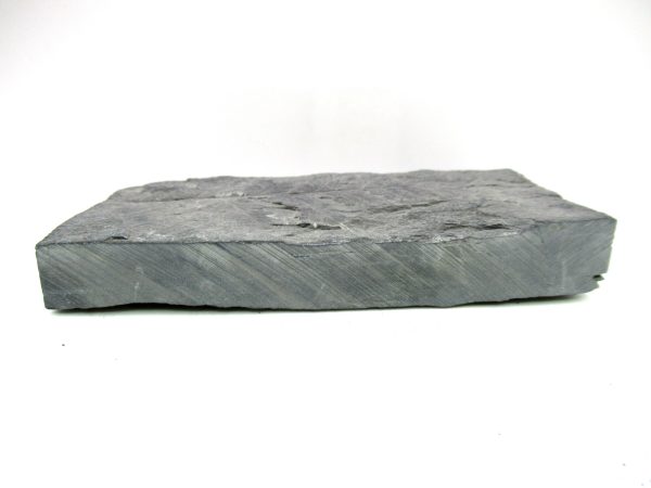 Carboniferous Fern from Germany #18 - Image 3