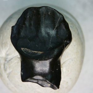 Genuine Cretaceous Age Judith River Ankylosaurus Dinosaur Tooth Fossil for Sale from Montana #76