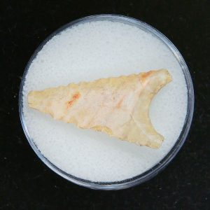 Mesolithic Curved Base Point #22