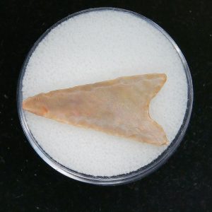 Mesolithic Curved Base Point #23