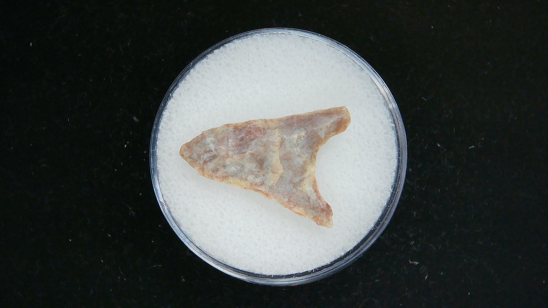 Morocco Sahara Desert Mesolithic Curved Base Point 24 | Fossils for Sale Genuine Morocco Sahara Desert Mesolithic Curved Base Point For Sale #24