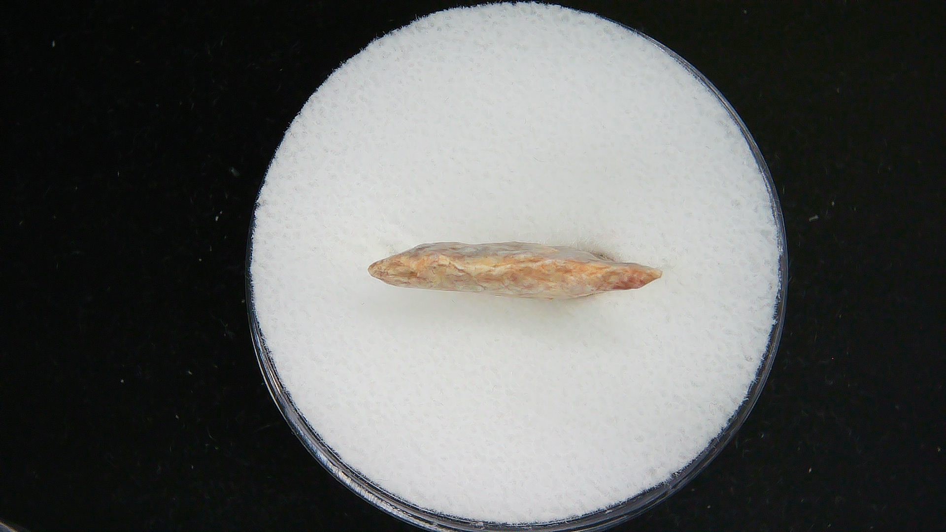 Morocco Sahara Desert Mesolithic Curved Base Point 24a | Fossils for Sale Genuine Morocco Sahara Desert Mesolithic Curved Base Point For Sale #24a