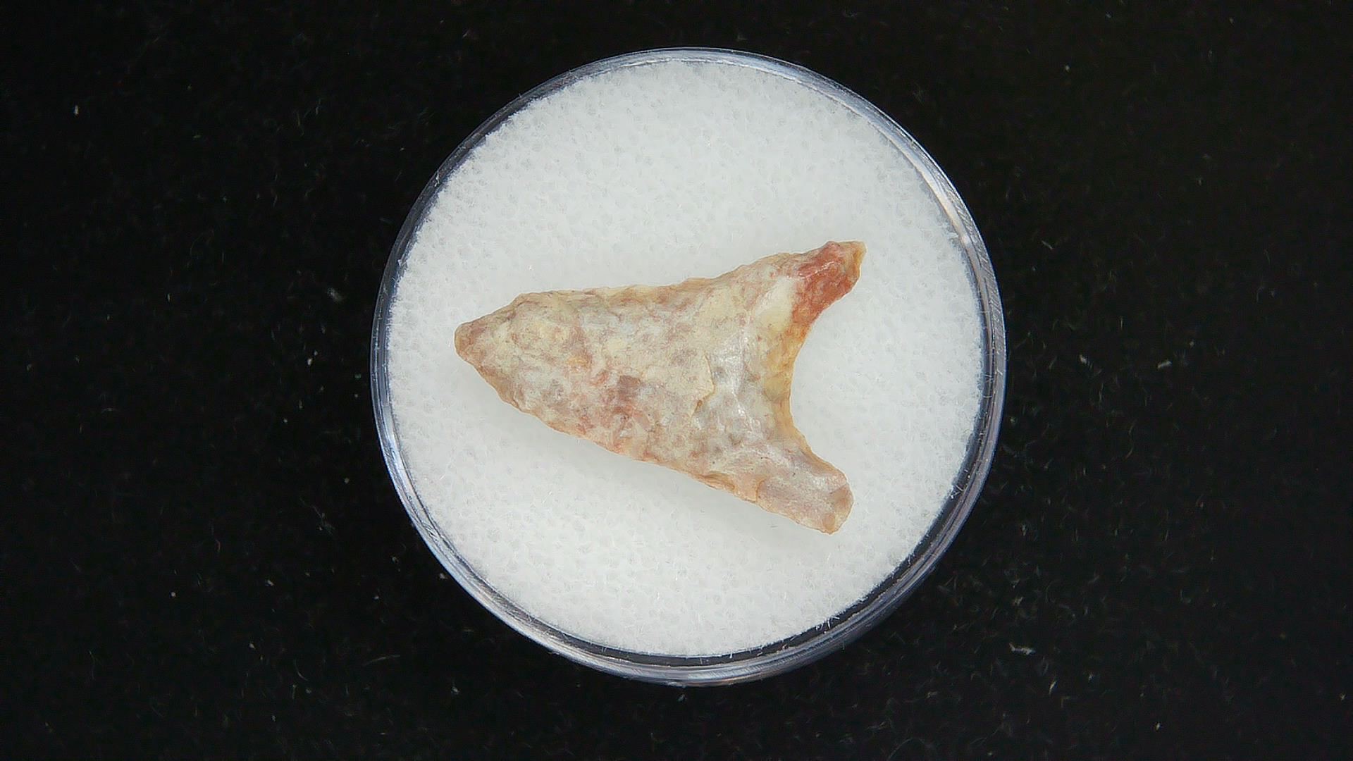 Morocco Sahara Desert Mesolithic Curved Base Point 24b | Fossils for Sale Genuine Morocco Sahara Desert Mesolithic Curved Base Point For Sale #24b