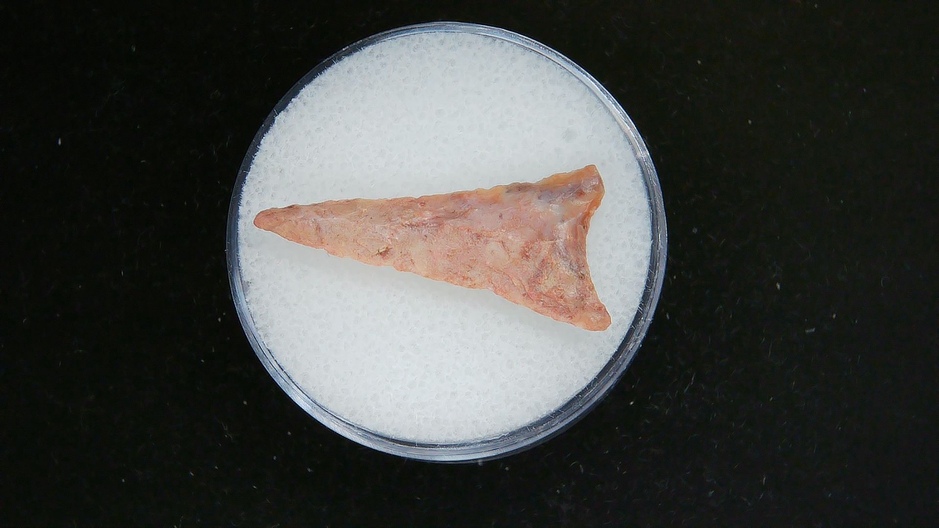 Morocco Sahara Desert Mesolithic Curved Base Point 27 | Fossils for Sale Genuine Morocco Sahara Desert Mesolithic Curved Base Point For Sale #27