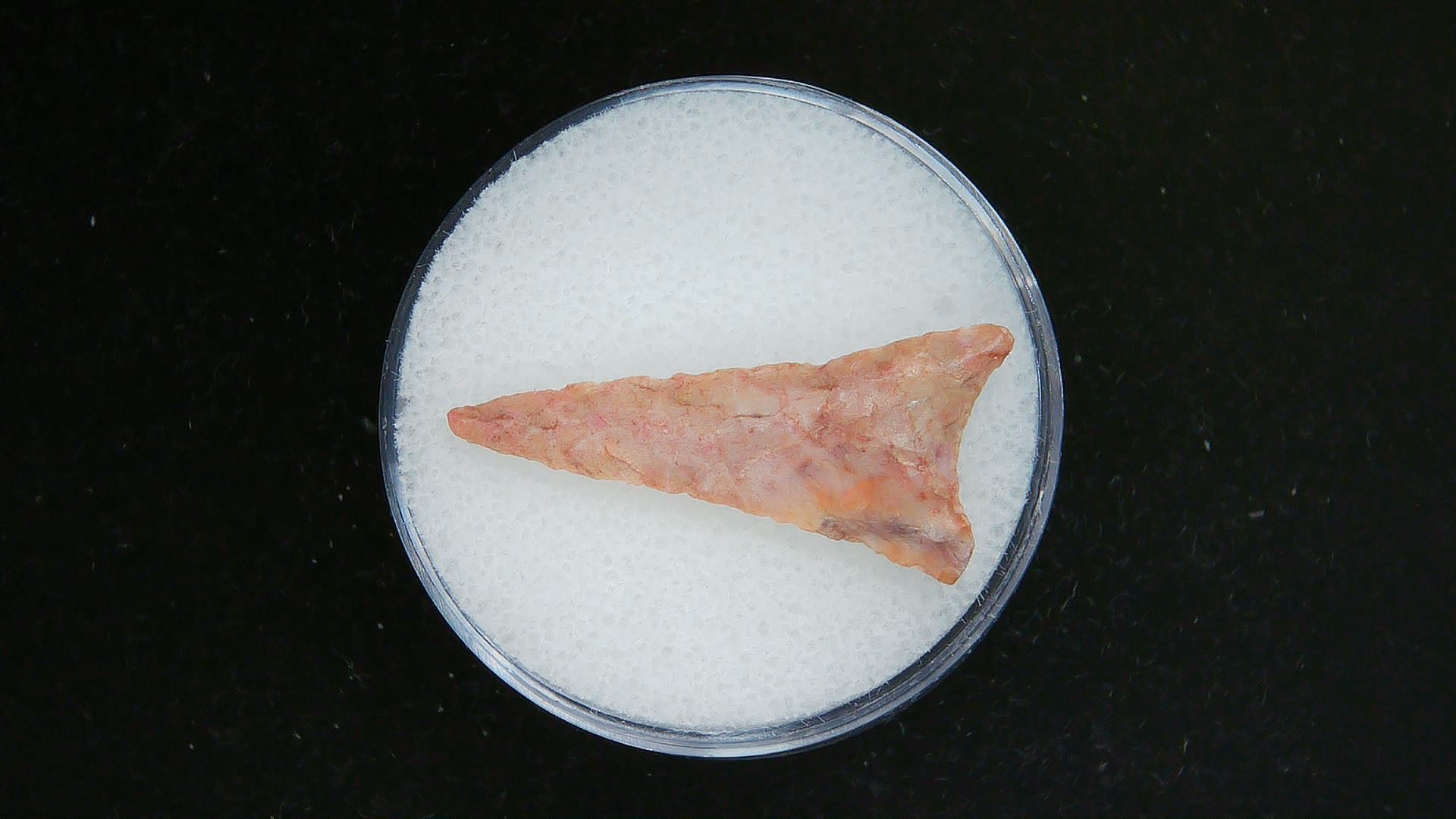 Morocco Sahara Desert Mesolithic Curved Base Point 27a | Fossils for Sale Genuine Morocco Sahara Desert Mesolithic Curved Base Point For Sale #27a