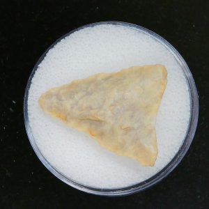 Mesolithic Curved Base Point #28