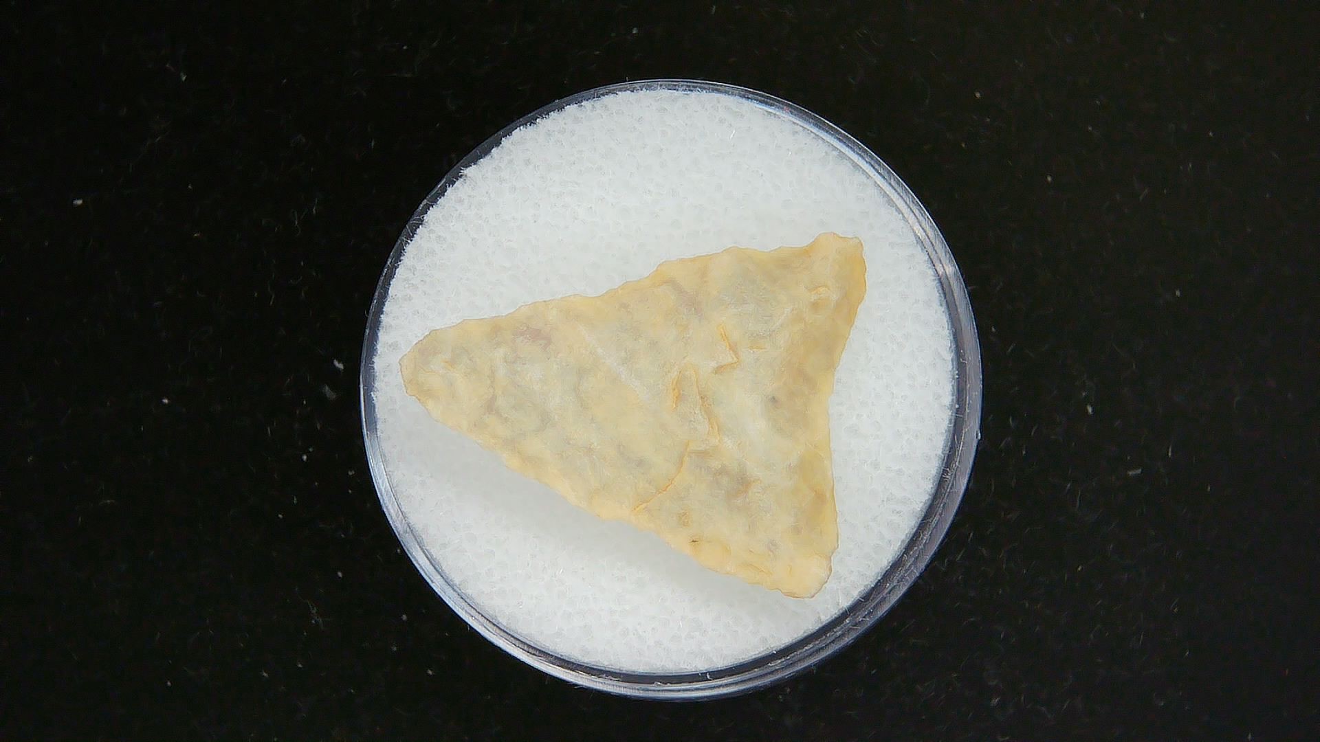 Morocco Sahara Desert Mesolithic Curved Base Point 28a | Fossils for Sale Genuine Morocco Sahara Desert Mesolithic Curved Base Point For Sale #28a