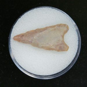 Mesolithic Curved Base Point #29