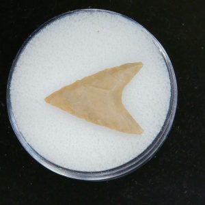 Mesolithic Curved Base Point #30