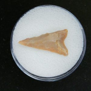 Mesolithic Curved Base Point #31