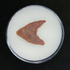 Mesolithic Curved Base Point #32