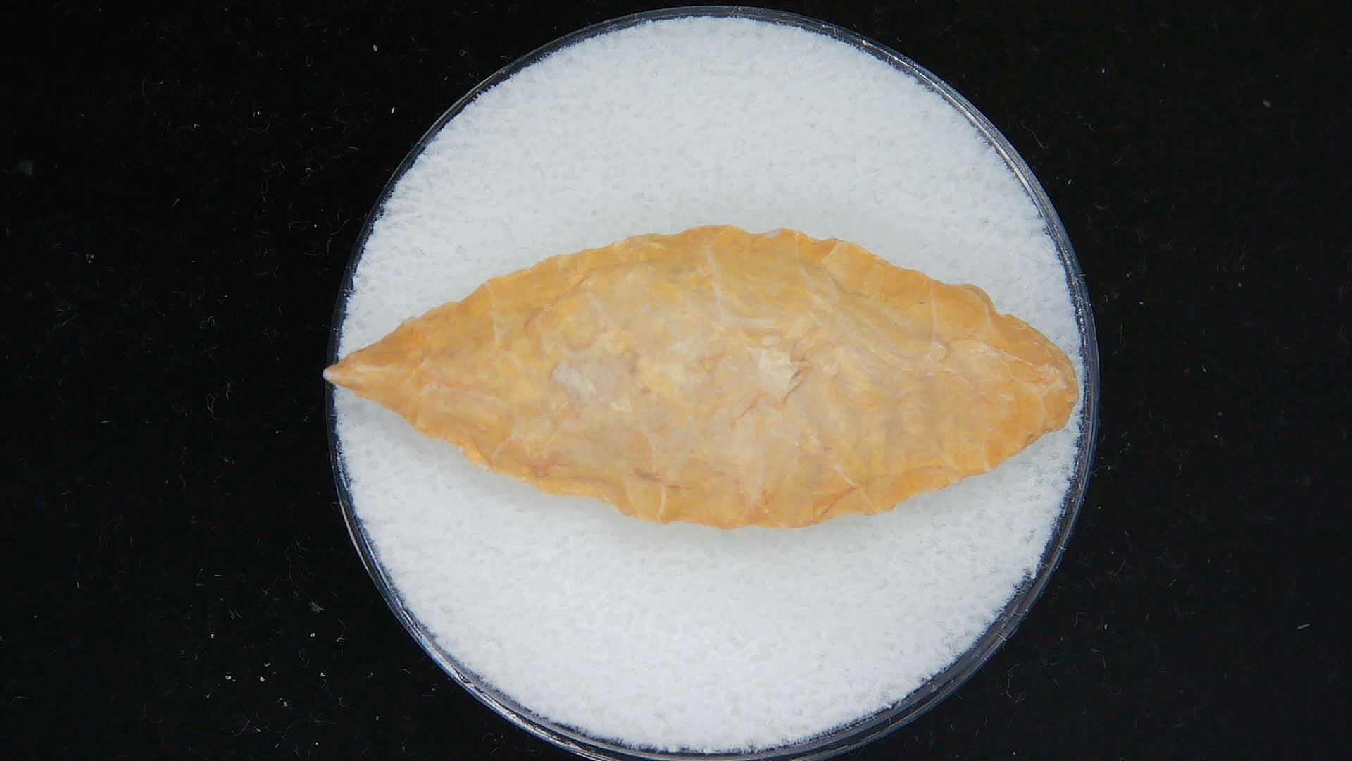 Morocco Sahara Desert Mesolithic Laurel Point 10 | Fossils for Sale Genuine Morocco Sahara Desert Mesolithic Laurel Point For Sale #10