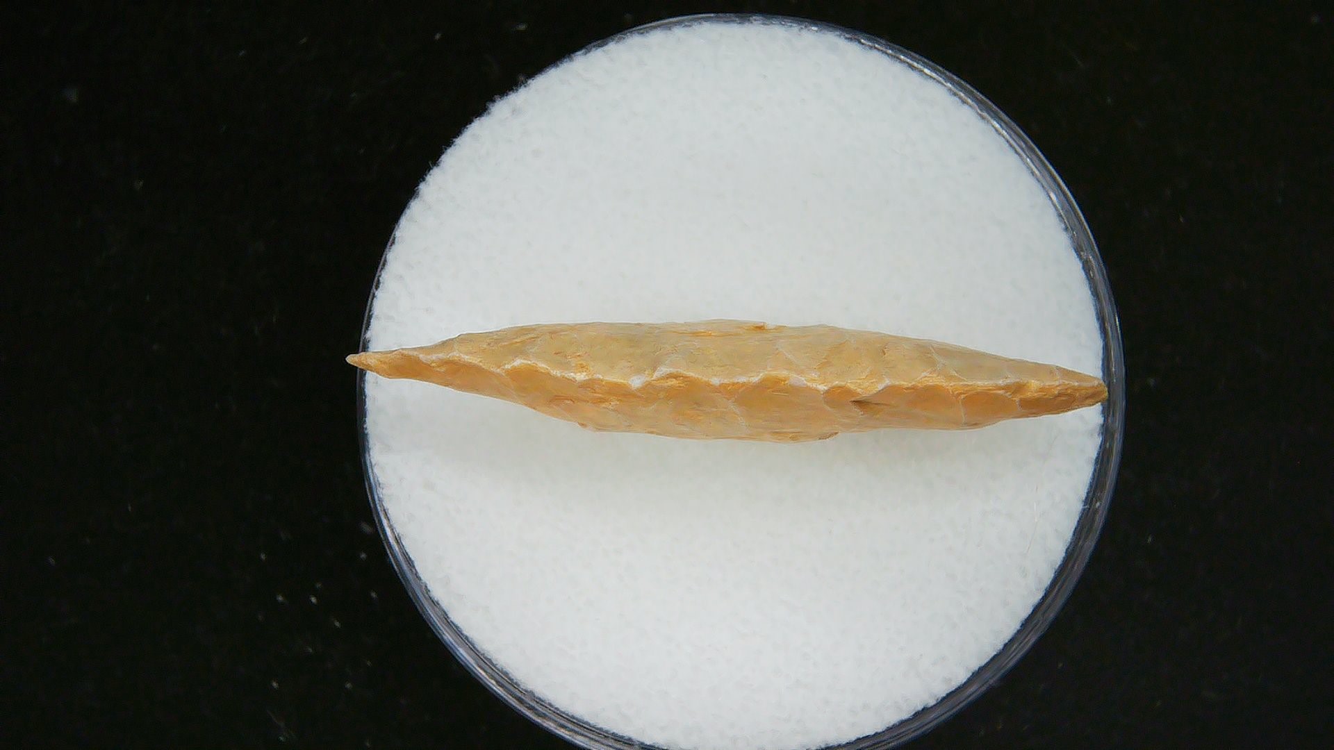 Morocco Sahara Desert Mesolithic Laurel Point 10b | Fossils for Sale Genuine Morocco Sahara Desert Mesolithic Laurel Point For Sale #10b