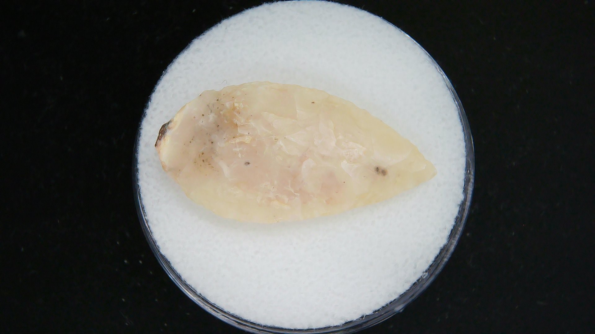 Morocco Sahara Desert Mesolithic Laurel Point 11 | Fossils for Sale Genuine Morocco Sahara Desert Mesolithic Laurel Point For Sale #11