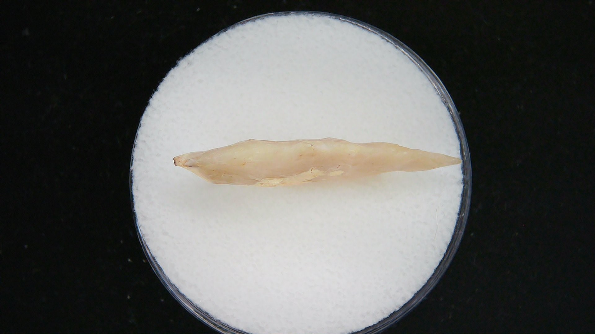 Morocco Sahara Desert Mesolithic Laurel Point 11b | Fossils for Sale Genuine Morocco Sahara Desert Mesolithic Laurel Point For Sale #11b