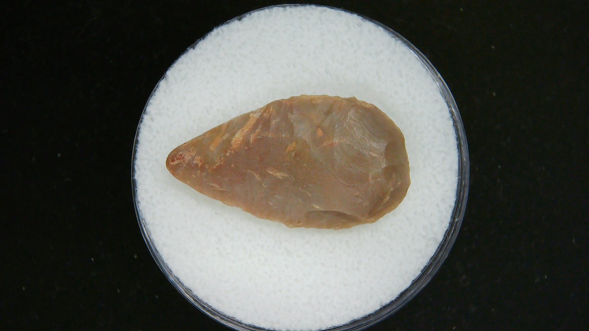 Morocco Sahara Desert Mesolithic Laurel Point 13 | Fossils for Sale Genuine Morocco Sahara Desert Mesolithic Laurel Point For Sale #13