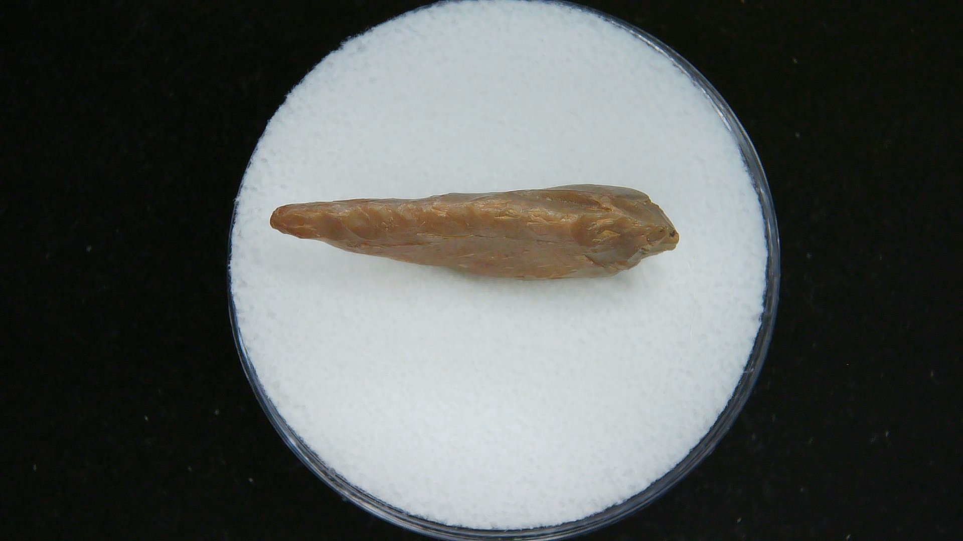 Morocco Sahara Desert Mesolithic Laurel Point 13b | Fossils for Sale Genuine Morocco Sahara Desert Mesolithic Laurel Point For Sale #13b