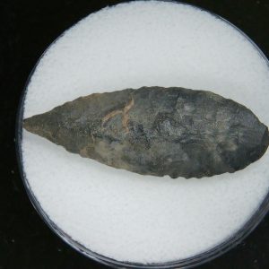 Mesolithic Laurel Leaf Point #14