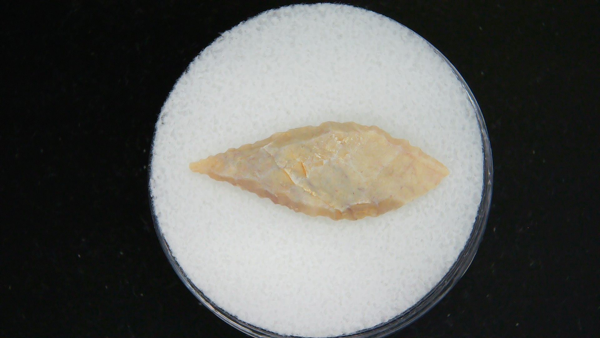 Morocco Sahara Desert Mesolithic Laurel Point 15 | Fossils for Sale Genuine Morocco Sahara Desert Mesolithic Laurel Point For Sale #15