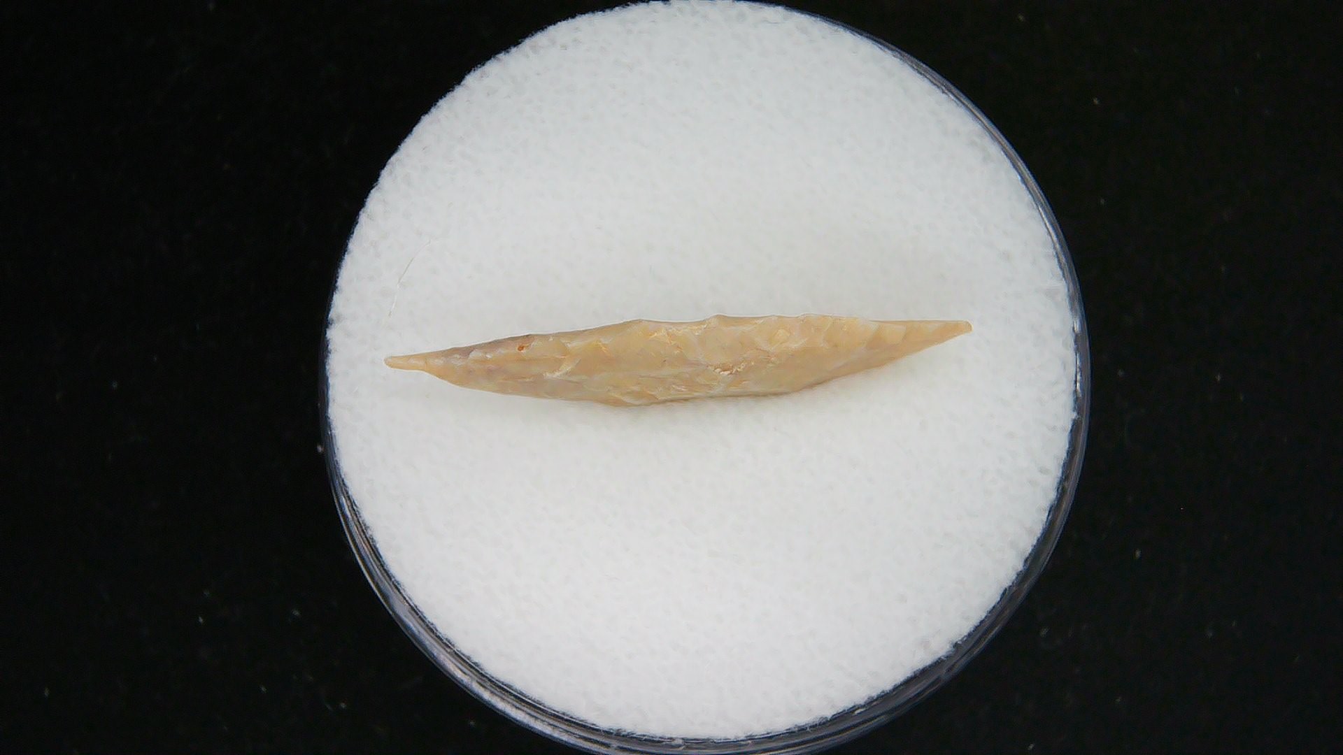 Morocco Sahara Desert Mesolithic Laurel Point 15b | Fossils for Sale Genuine Morocco Sahara Desert Mesolithic Laurel Point For Sale #15b