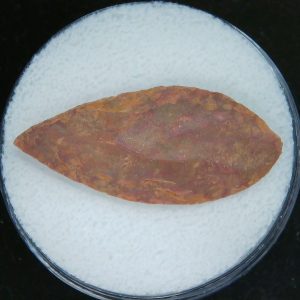 Mesolithic Laurel Leaf Point #16