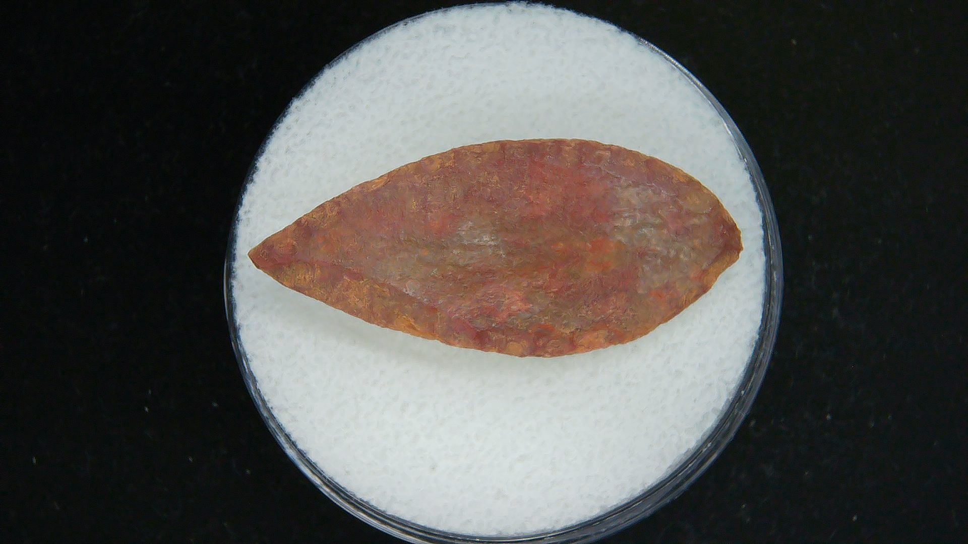 Morocco Sahara Desert Mesolithic Laurel Point 16a | Fossils for Sale Genuine Morocco Sahara Desert Mesolithic Laurel Point For Sale #16a