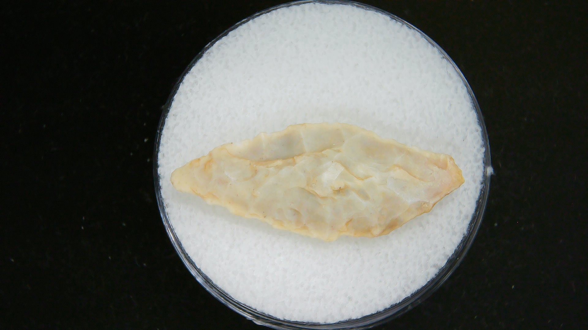 Morocco Sahara Desert Mesolithic Laurel Point 17 | Fossils for Sale Genuine Morocco Sahara Desert Mesolithic Laurel Point For Sale #17