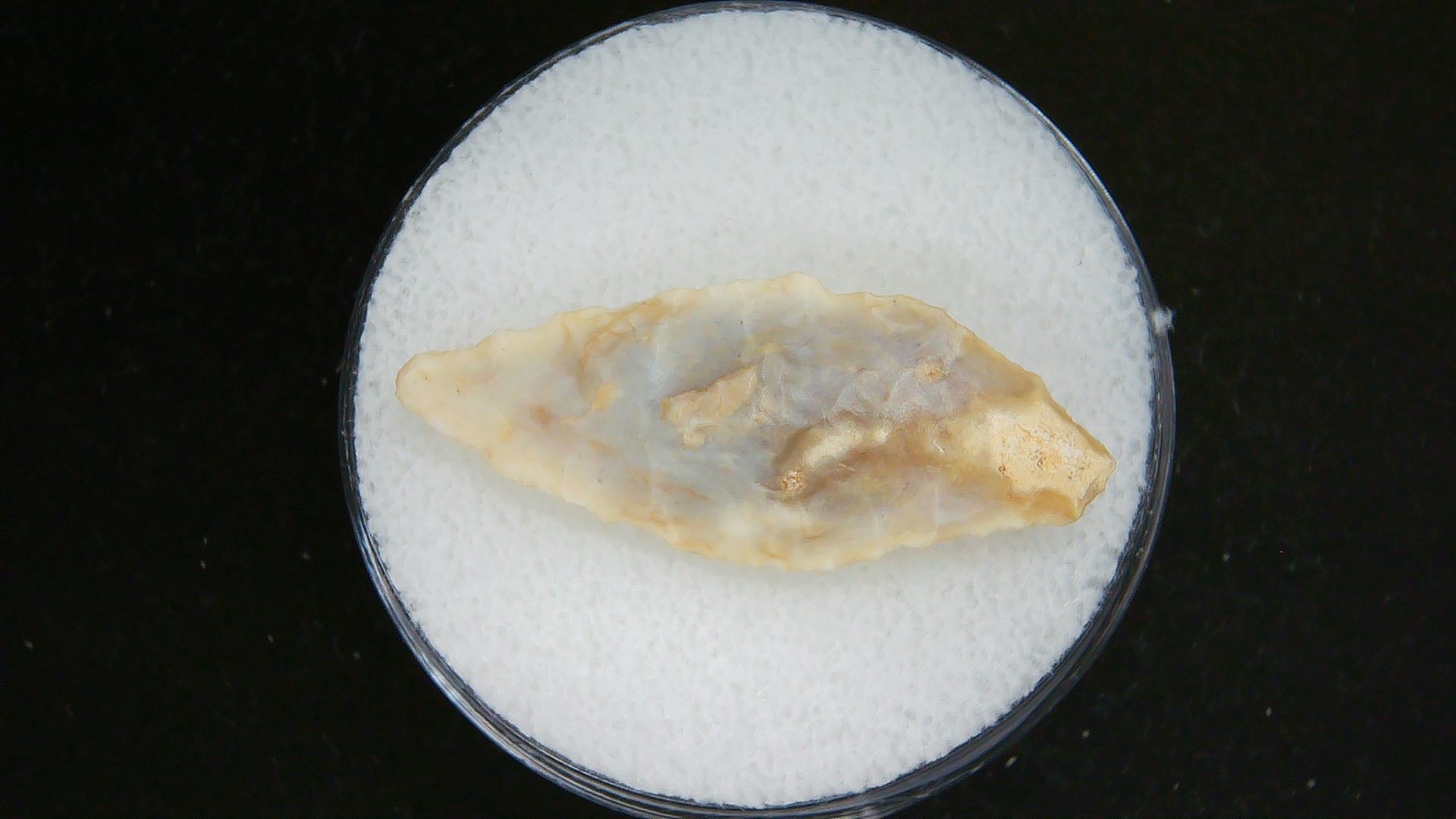 Morocco Sahara Desert Mesolithic Laurel Point 17a | Fossils for Sale Genuine Morocco Sahara Desert Mesolithic Laurel Point For Sale #17a