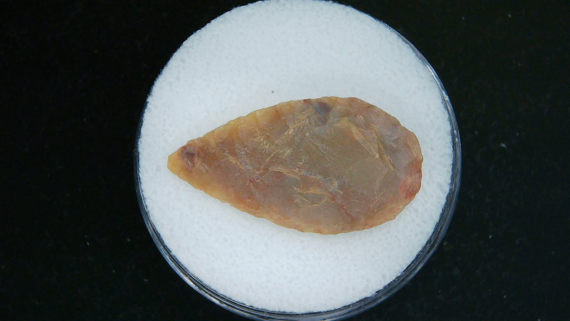 Morocco Sahara Desert Mesolithic Laurel Point 18a | Fossils for Sale Genuine Morocco Sahara Desert Mesolithic Laurel Point For Sale #18a