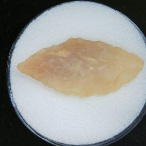 Mesolithic Laurel Leaf Point #19