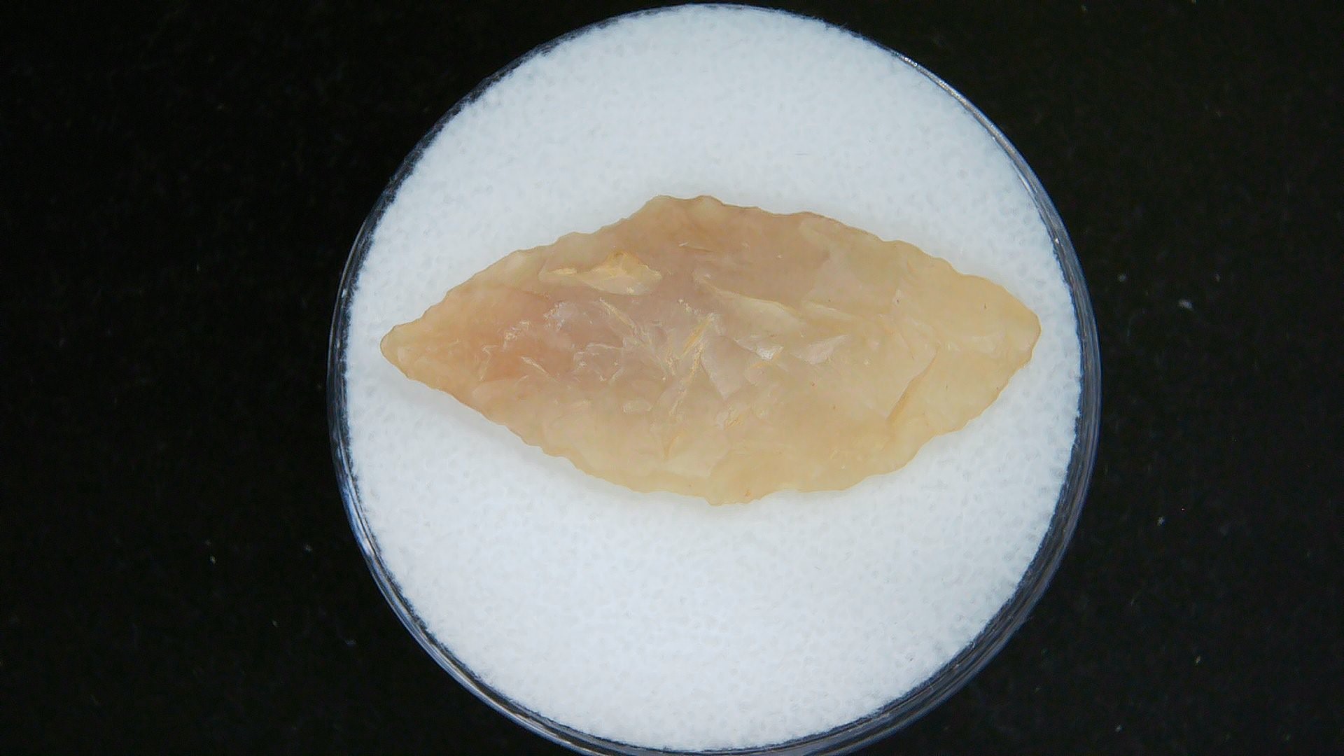 Morocco Sahara Desert Mesolithic Laurel Point 19 | Fossils for Sale Genuine Morocco Sahara Desert Mesolithic Laurel Point For Sale #19