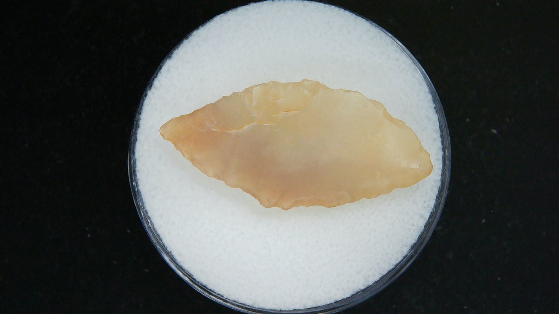 Morocco Sahara Desert Mesolithic Laurel Point 19a | Fossils for Sale Genuine Morocco Sahara Desert Mesolithic Laurel Point For Sale #19a